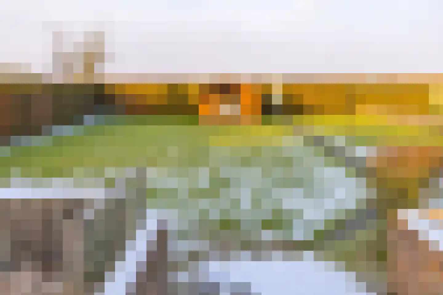 Westerstraat 67 Ter Apel thumbnail 62