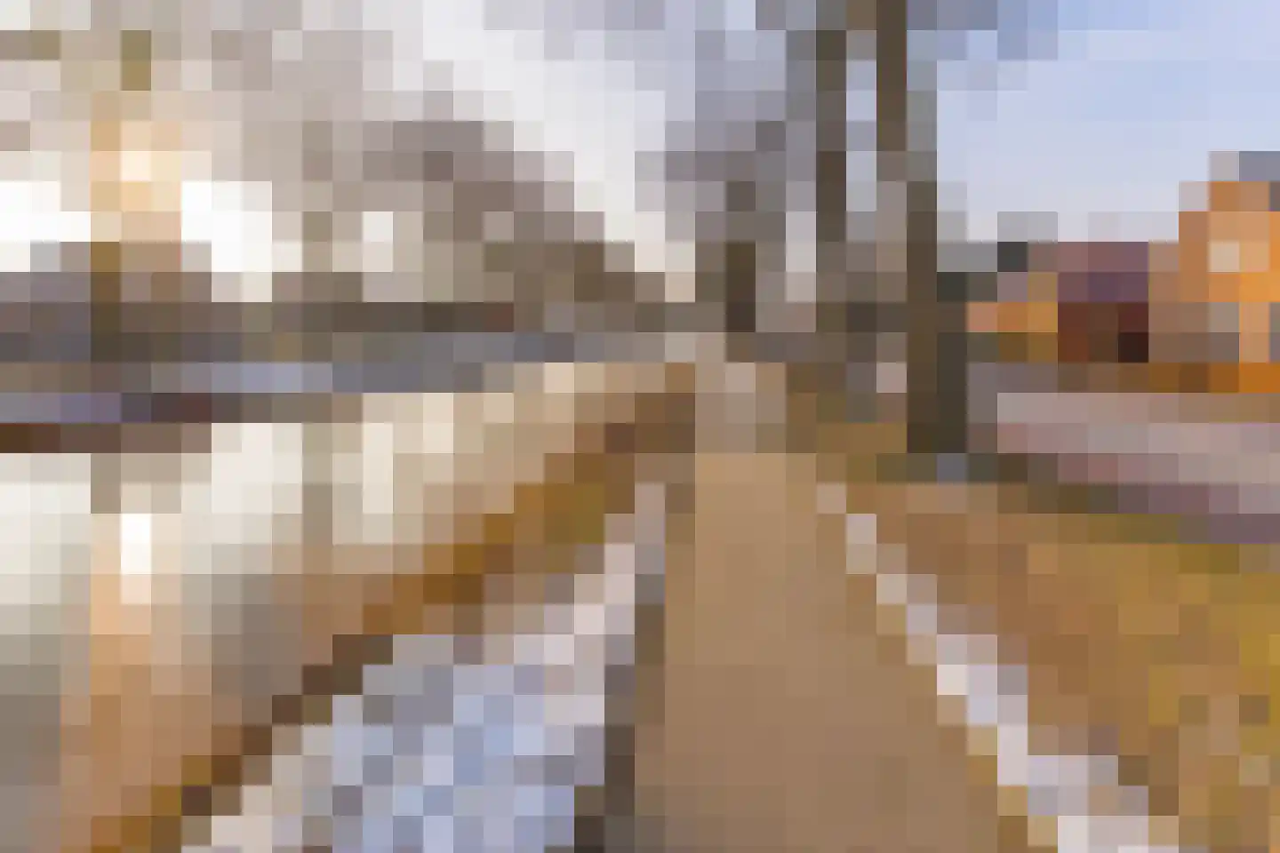 Westerstraat 67 Ter Apel thumbnail 9