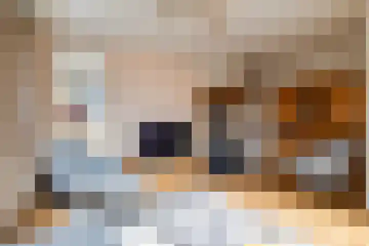 Westerstraat 69 Ruinen thumbnail 15