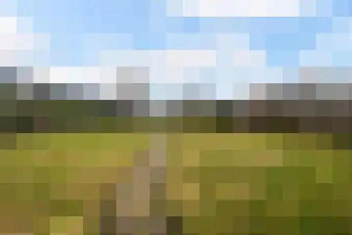 Westerstraat 69 Ruinen thumbnail 30