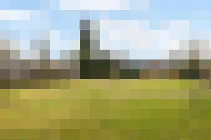 Westerstraat 69 Ruinen thumbnail 32