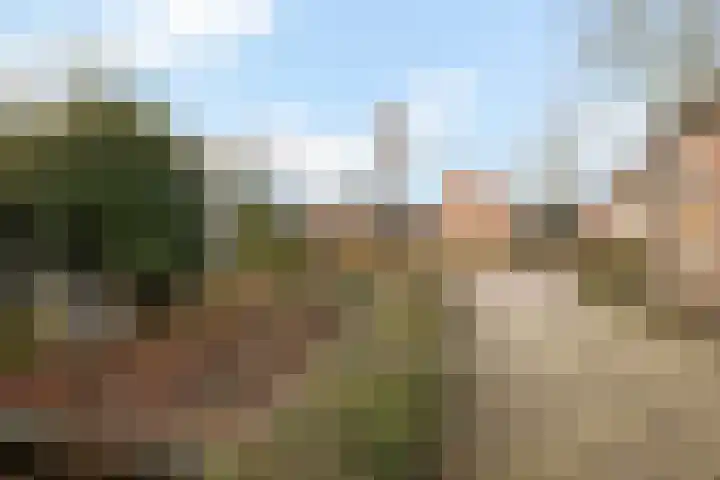Westerstraat 69 Ruinen thumbnail 38