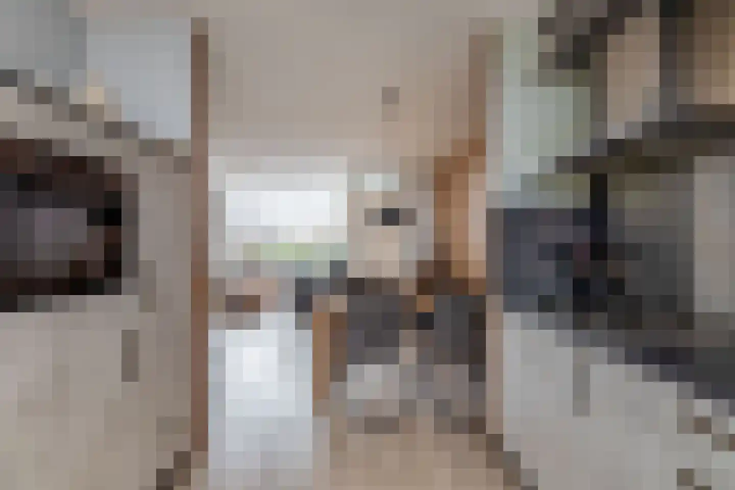 Westerstraat 7 Nieuwe-Tonge thumbnail 21