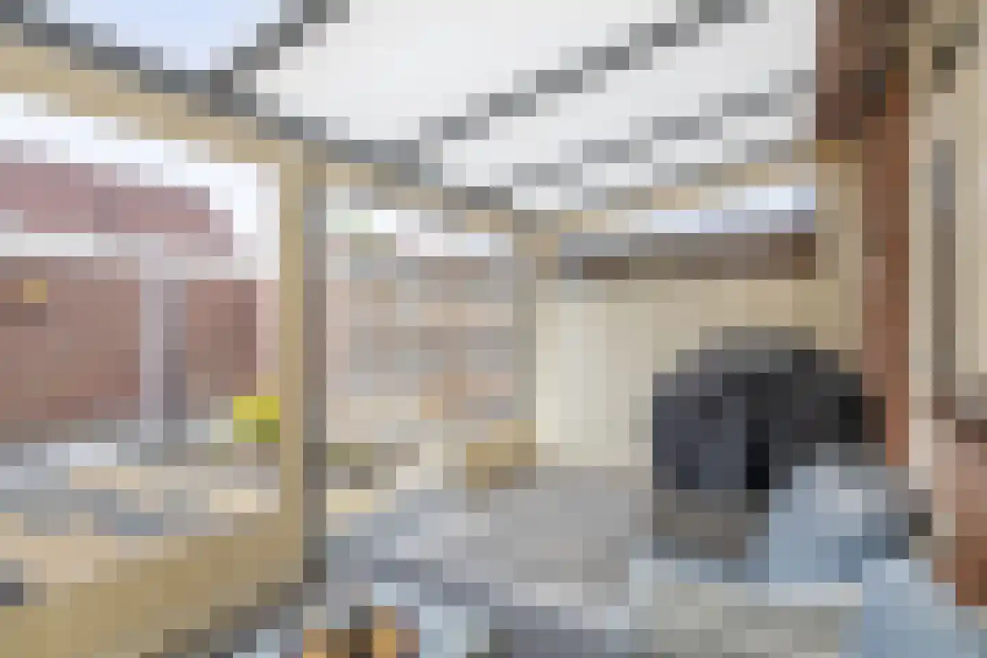 Westerstraat 7 Nieuwe-Tonge thumbnail 25