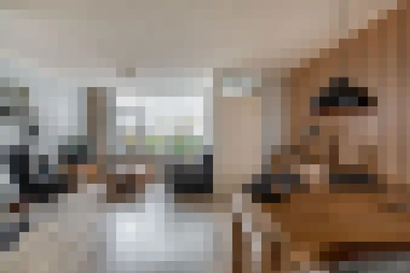 Westerstraat 7 Nieuwe-Tonge thumbnail 5