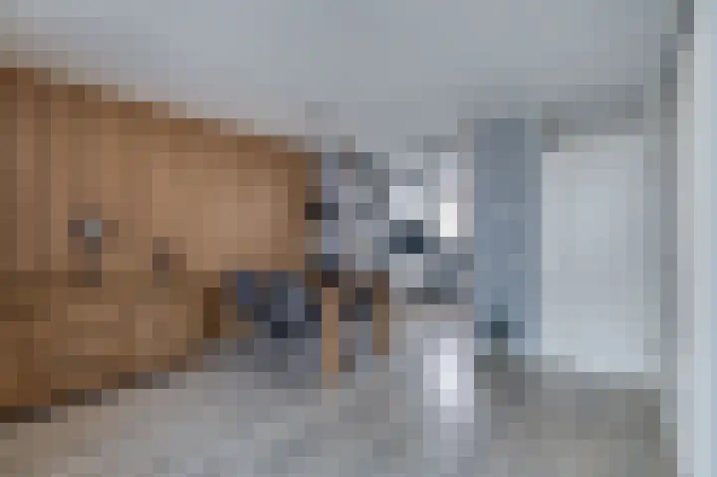 Westerstraat 7 Nieuwe-Tonge thumbnail 6