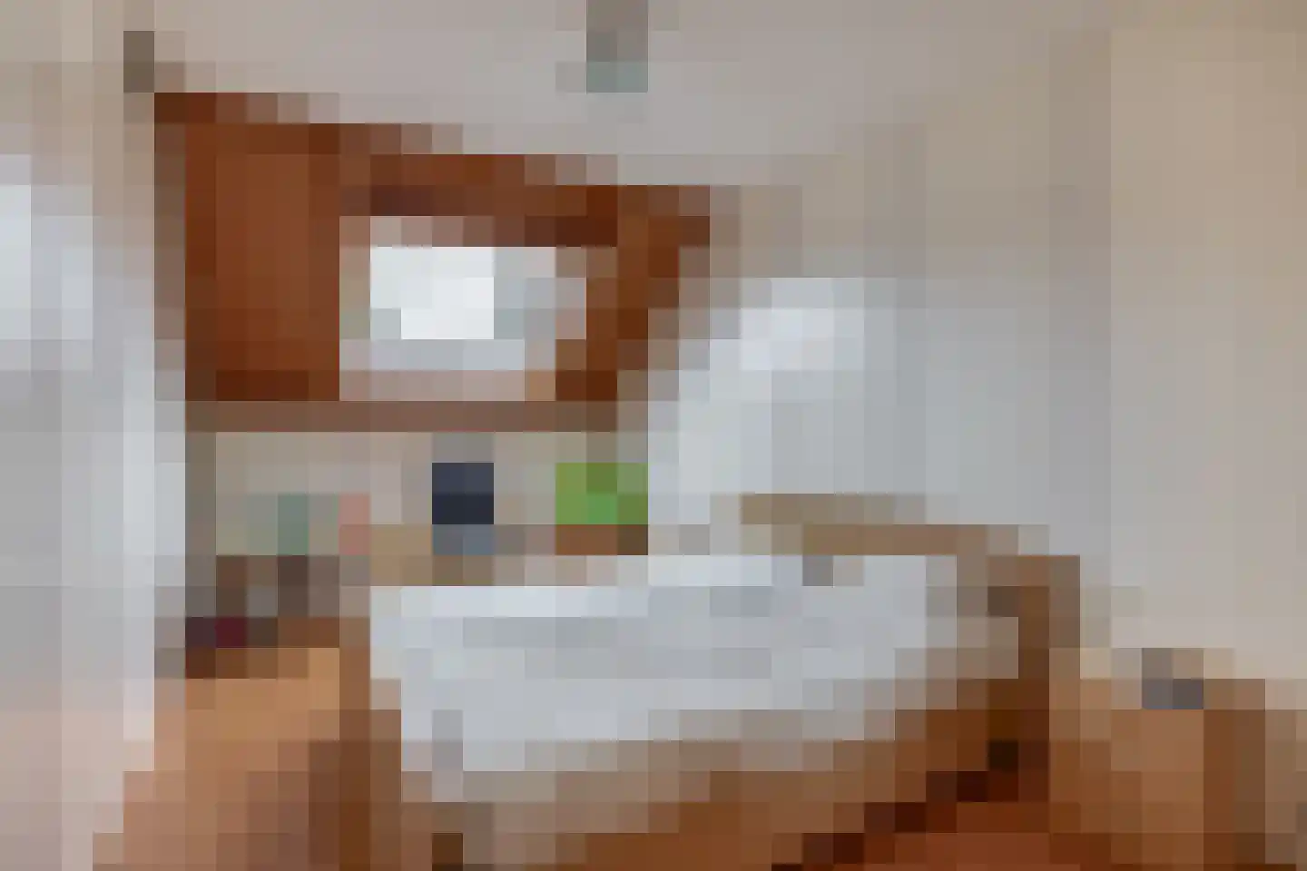 Westerstraat 7 Nieuwe-Tonge thumbnail 8