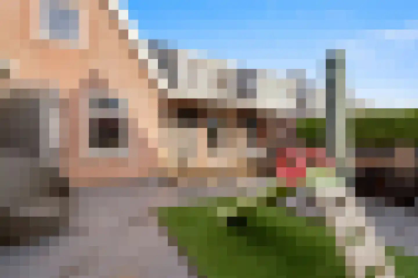 Westerstraat 7 Noord-Scharwoude thumbnail 37