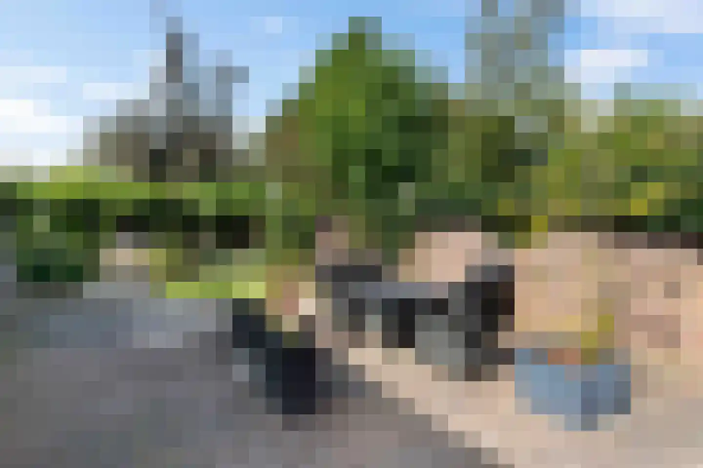 Westerstraat 7 Vries thumbnail 12
