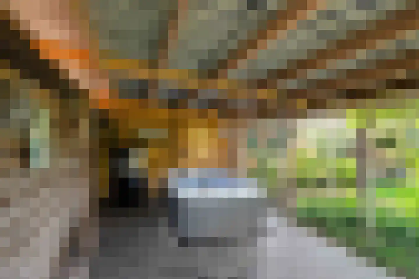 Westerstraat 7 Vries thumbnail 14