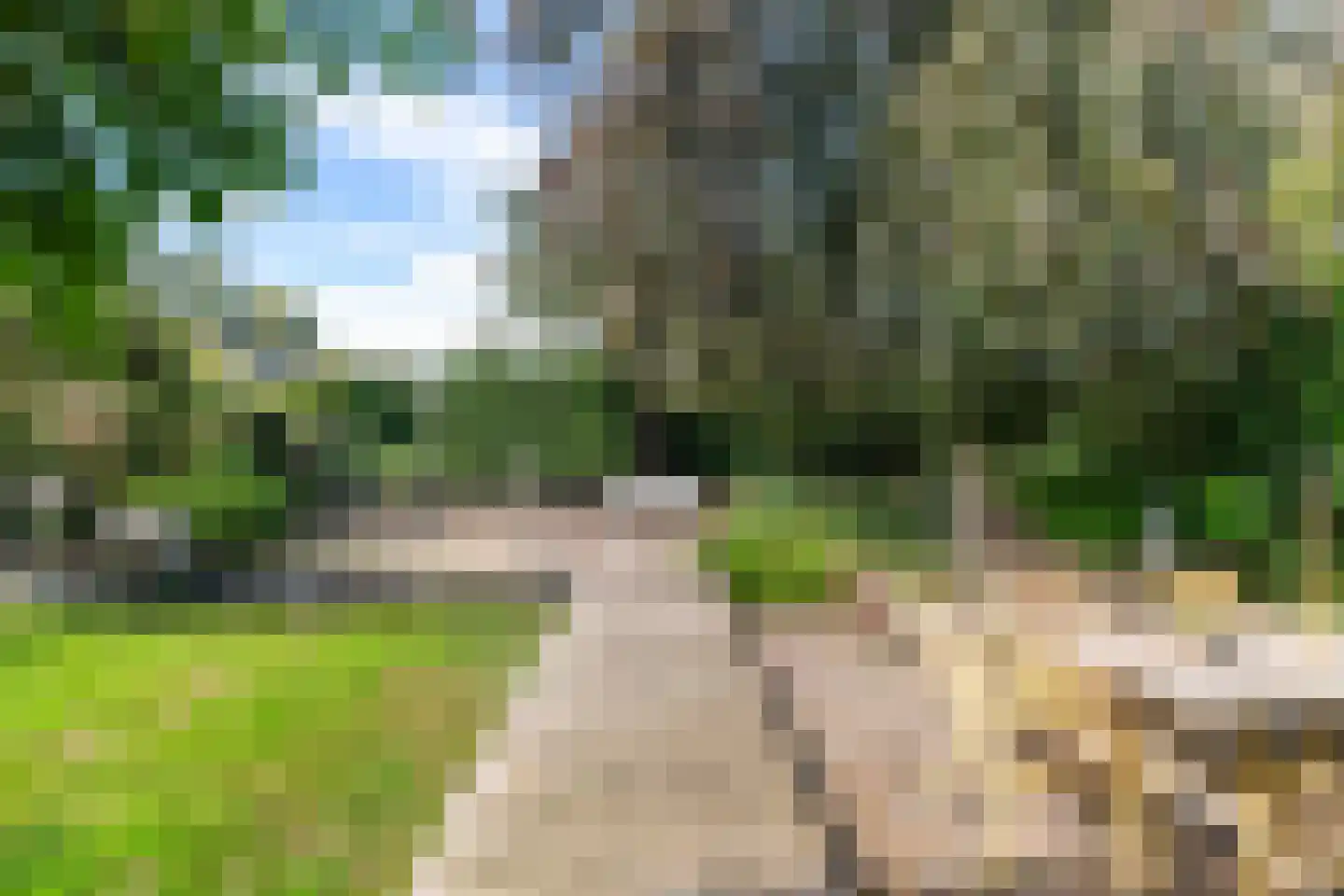 Westerstraat 7 Vries thumbnail 17