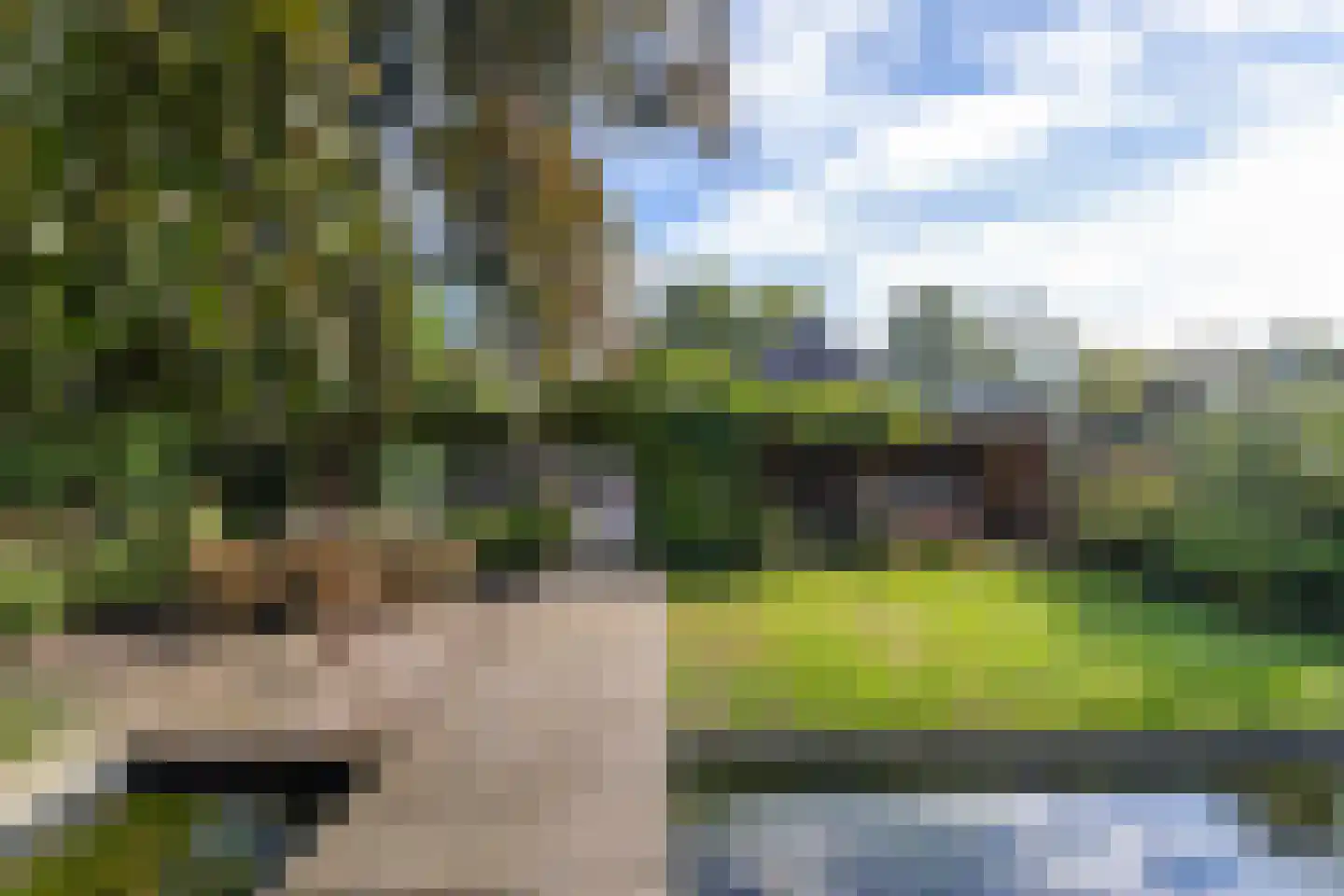 Westerstraat 7 Vries thumbnail 20
