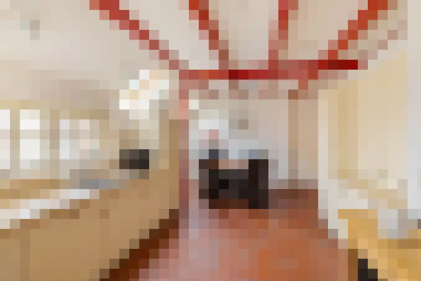 Westerstraat 7 Vries thumbnail 32