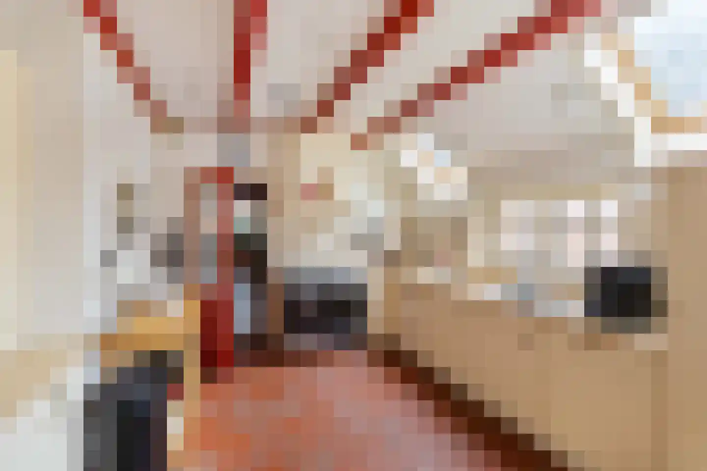 Westerstraat 7 Vries thumbnail 33