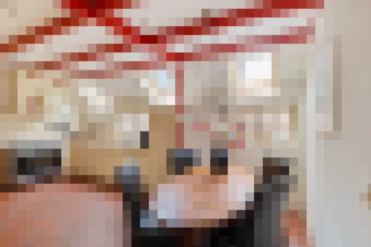 Westerstraat 7 Vries thumbnail 34