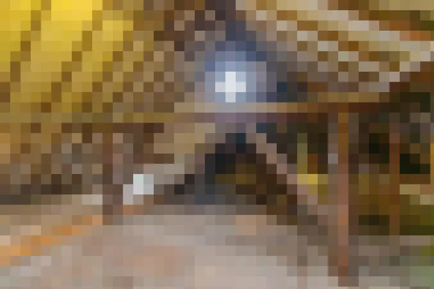 Westerstraat 7 Vries thumbnail 46