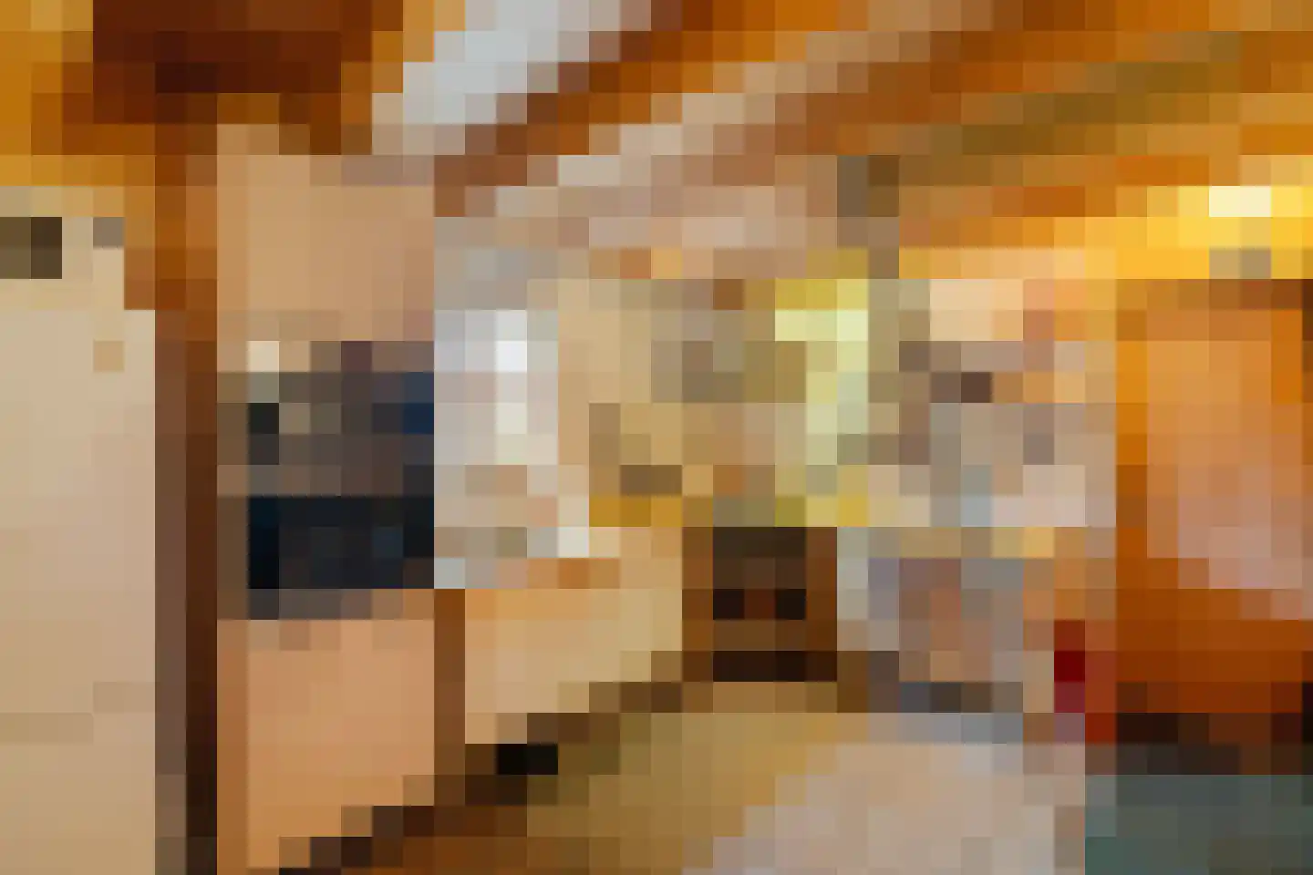 Westerstraat 7 Vries thumbnail 53