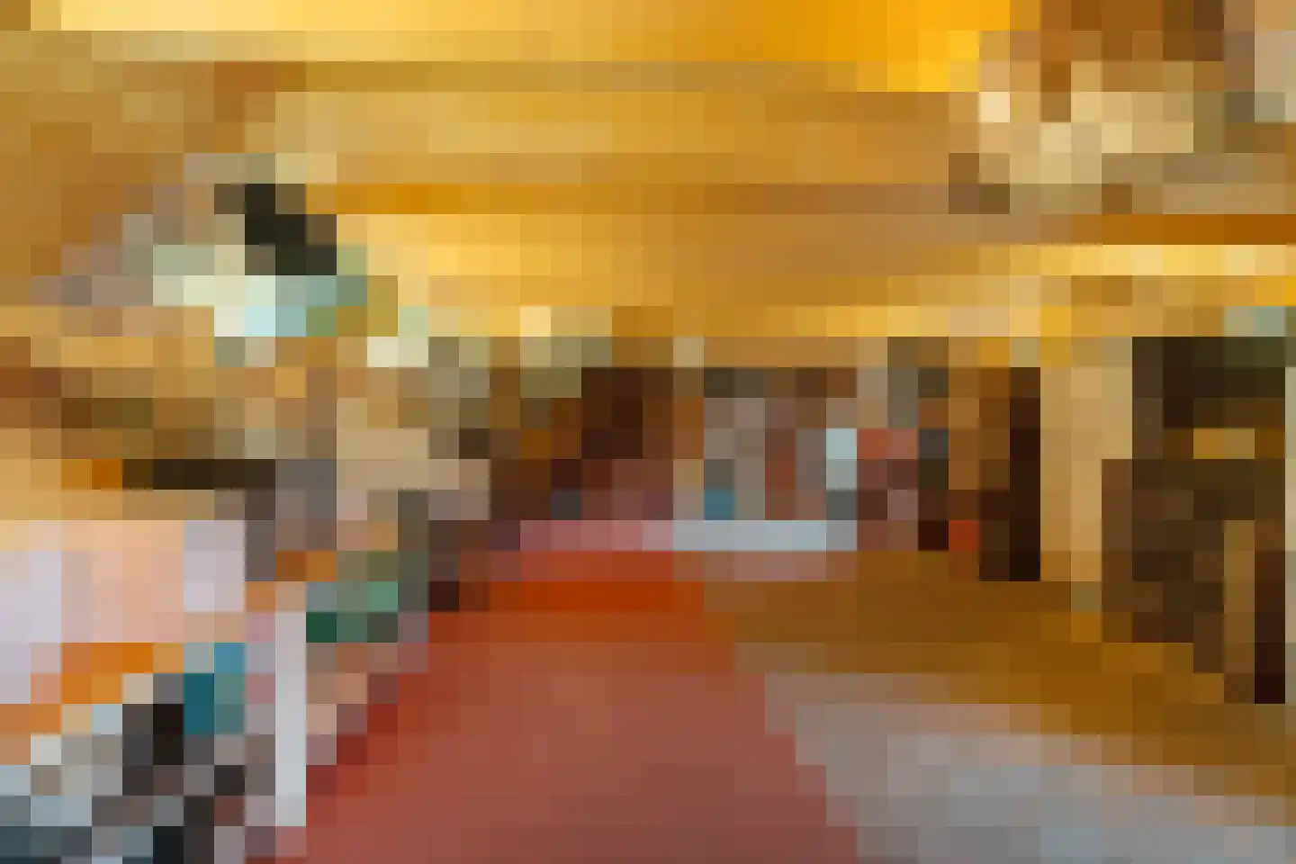 Westerstraat 7 Vries thumbnail 54