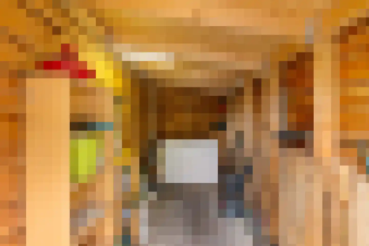 Westerstraat 7 Vries thumbnail 58