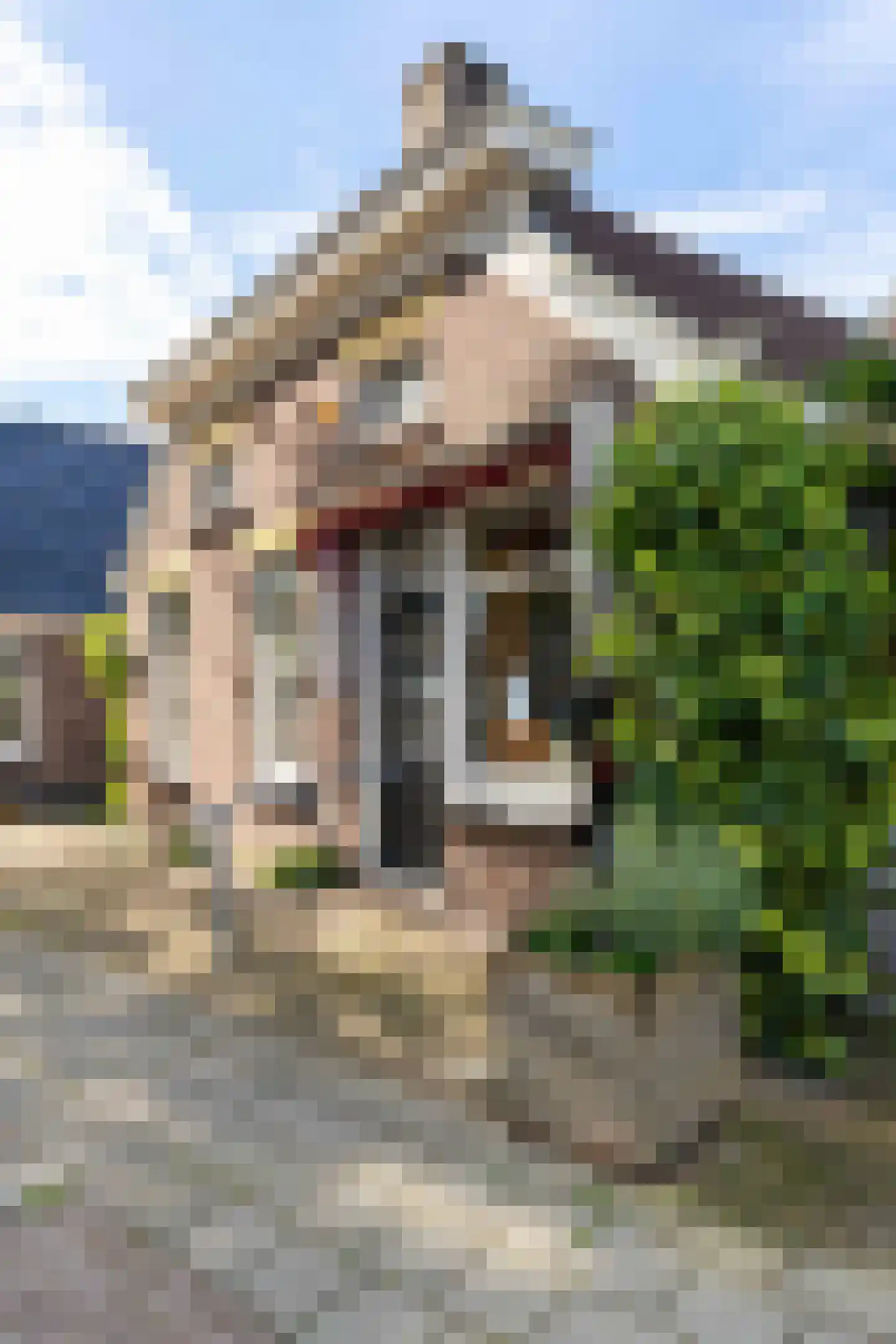 Westerstraat 7 Vries thumbnail 6