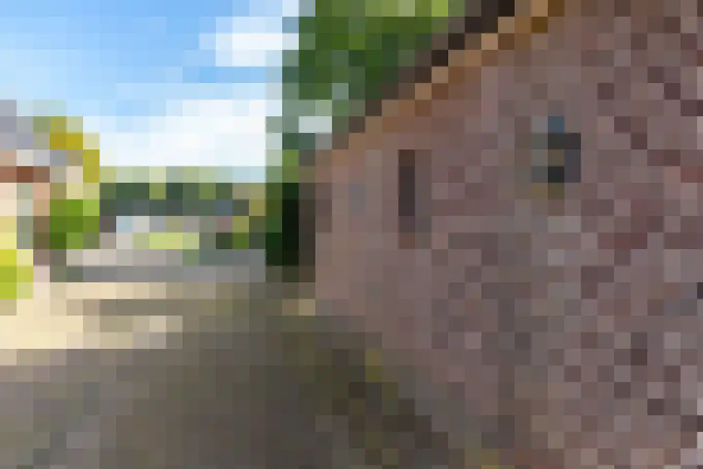 Westerstraat 7 Vries thumbnail 7