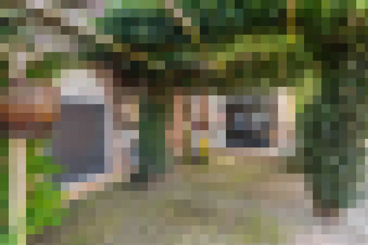 Westerstraat 7 Vries thumbnail 8