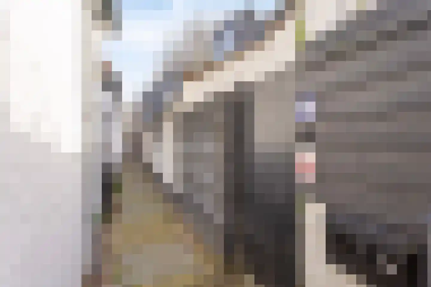 Westerstraat 70 Purmerend thumbnail 10