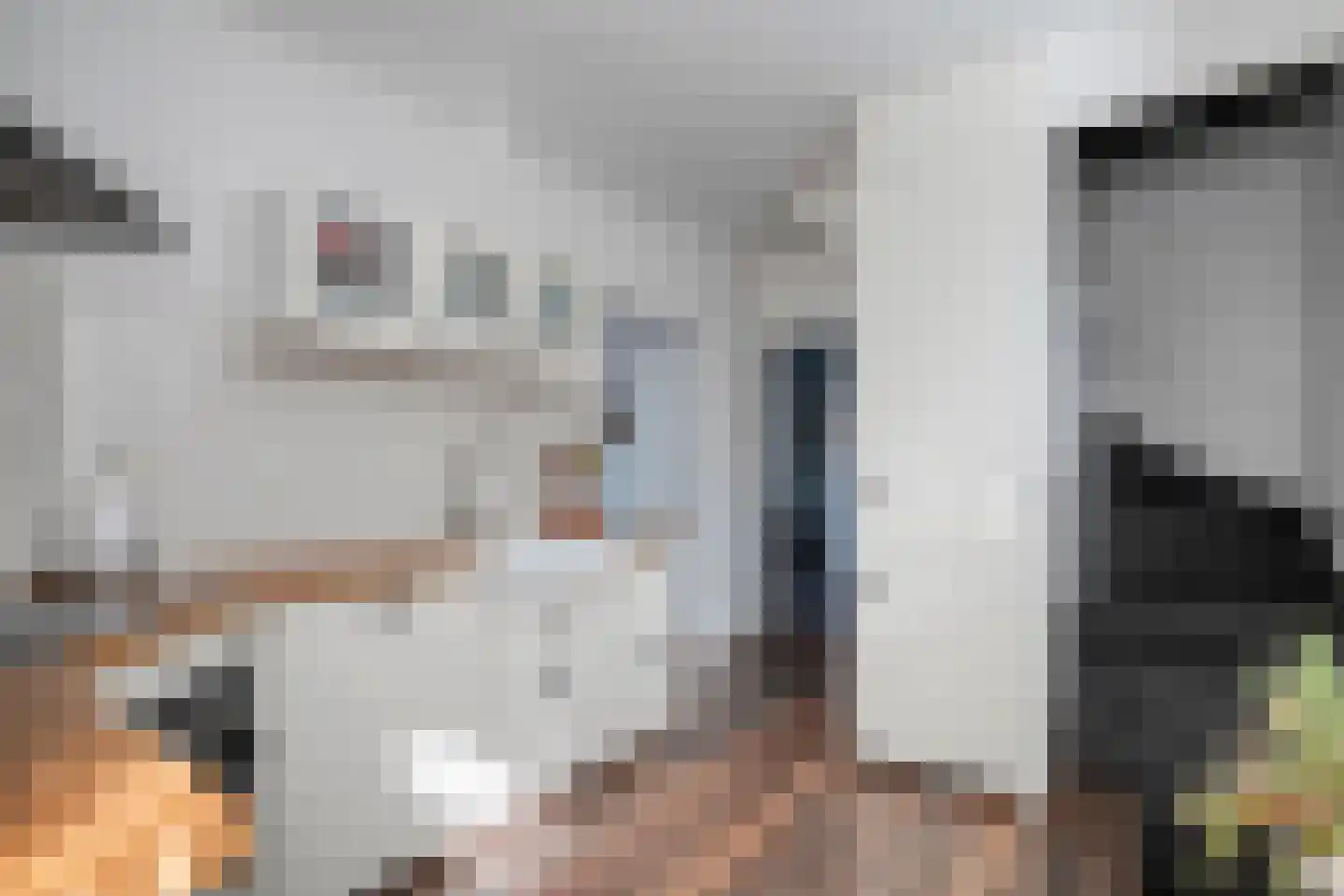 Westerstraat 70 Ruinen thumbnail 14