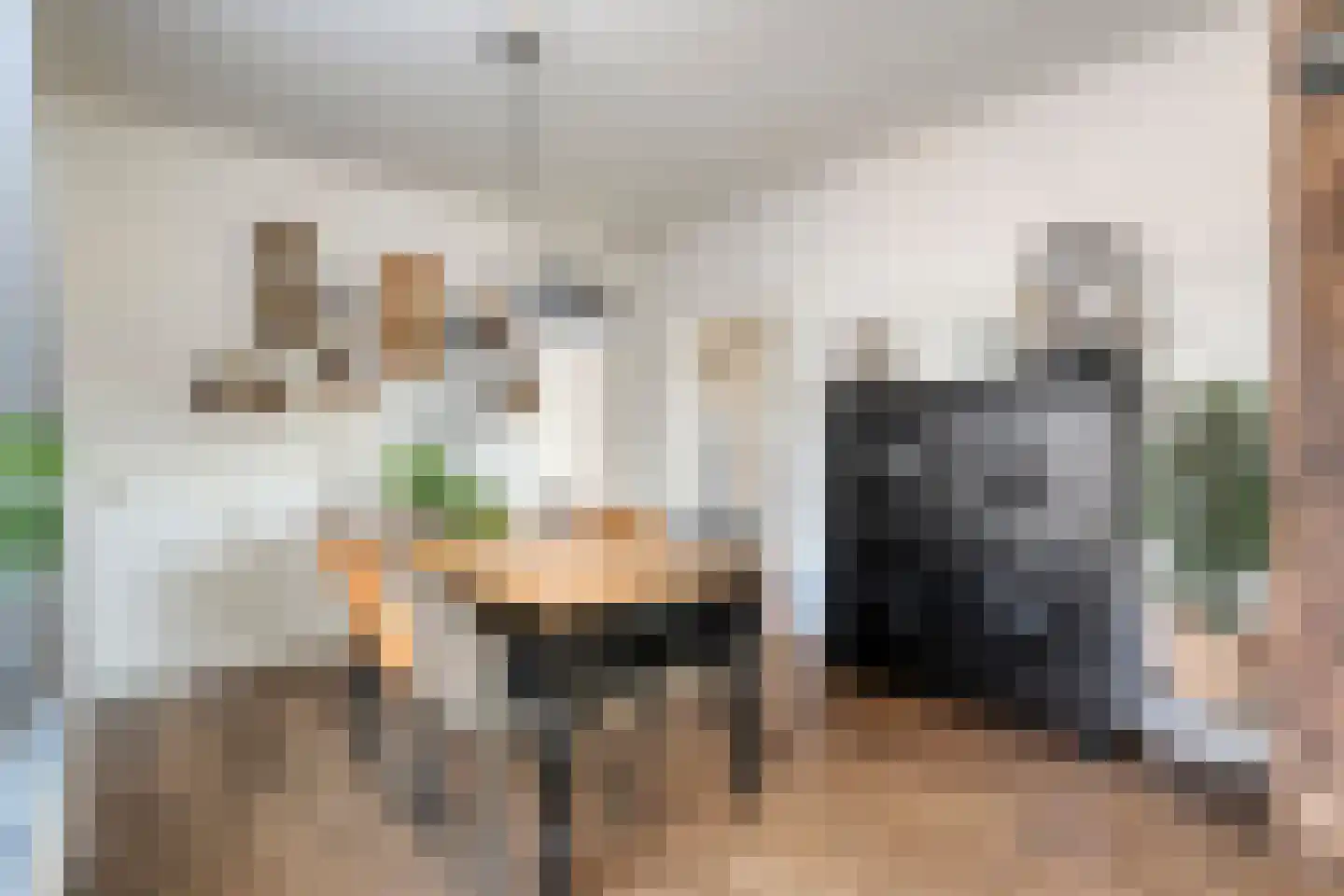 Westerstraat 70 Ruinen thumbnail 17