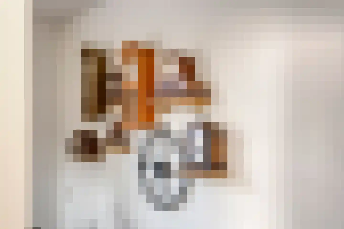 Westerstraat 70 Ruinen thumbnail 18