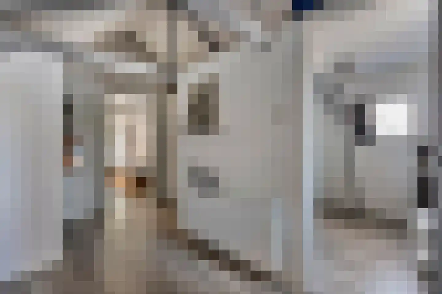 Westerstraat 70 Ruinen thumbnail 35