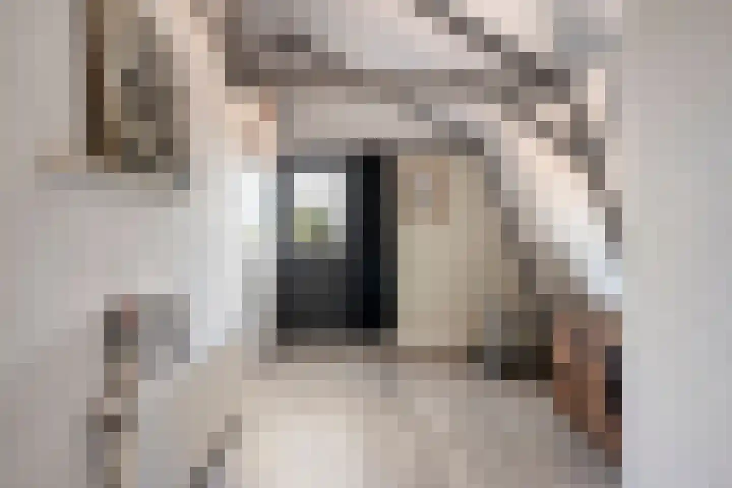 Westerstraat 70 Ruinen thumbnail 36