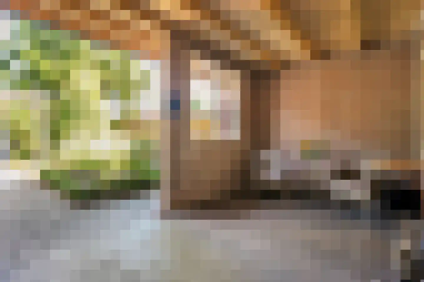 Westerstraat 70 Ruinen thumbnail 45