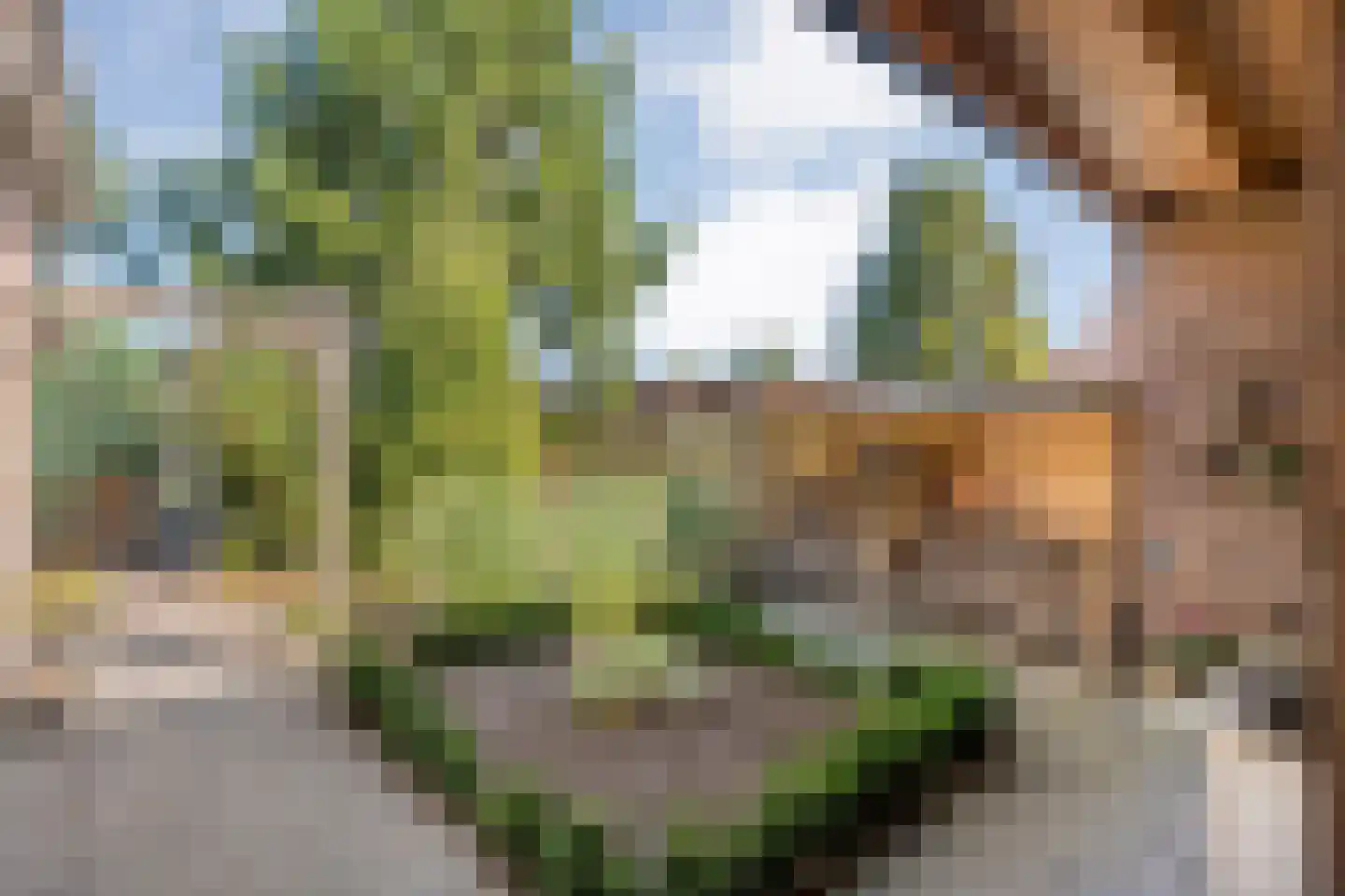 Westerstraat 70 Ruinen thumbnail 47