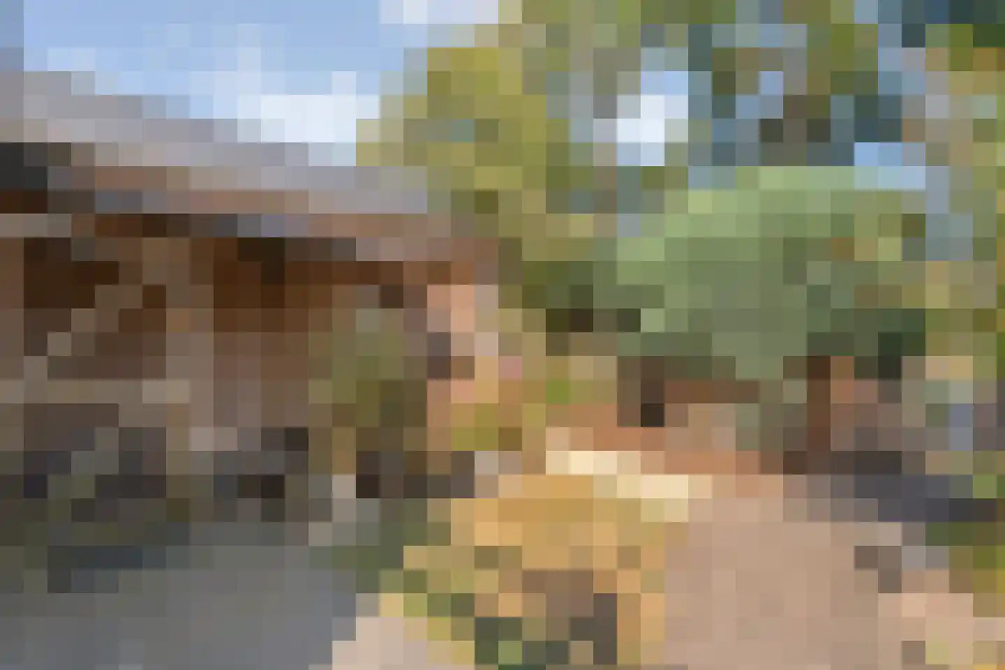 Westerstraat 70 Ruinen thumbnail 49