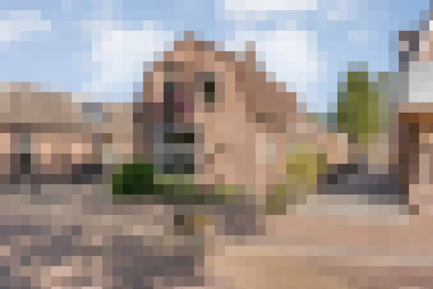 Westerstraat 70 Ruinen thumbnail 5