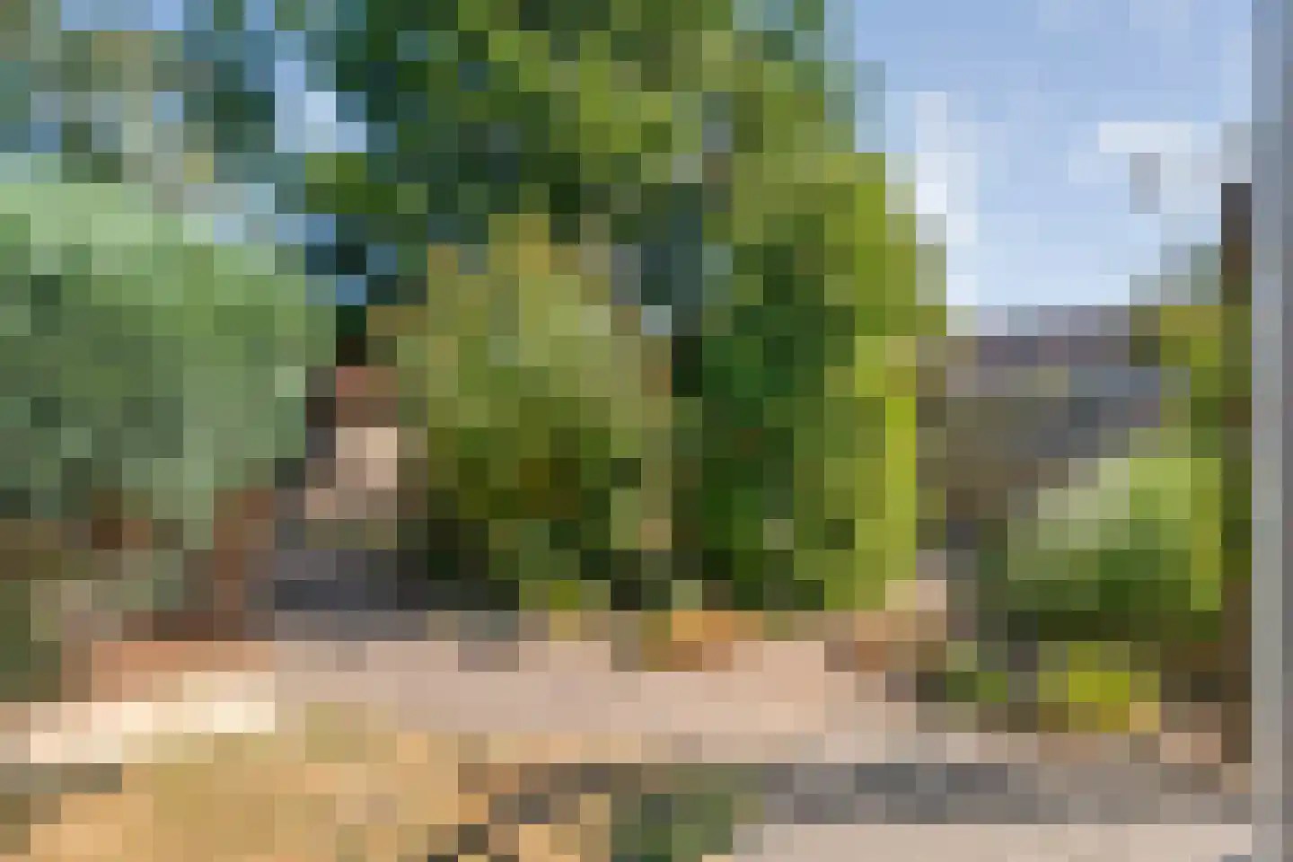 Westerstraat 70 Ruinen thumbnail 51