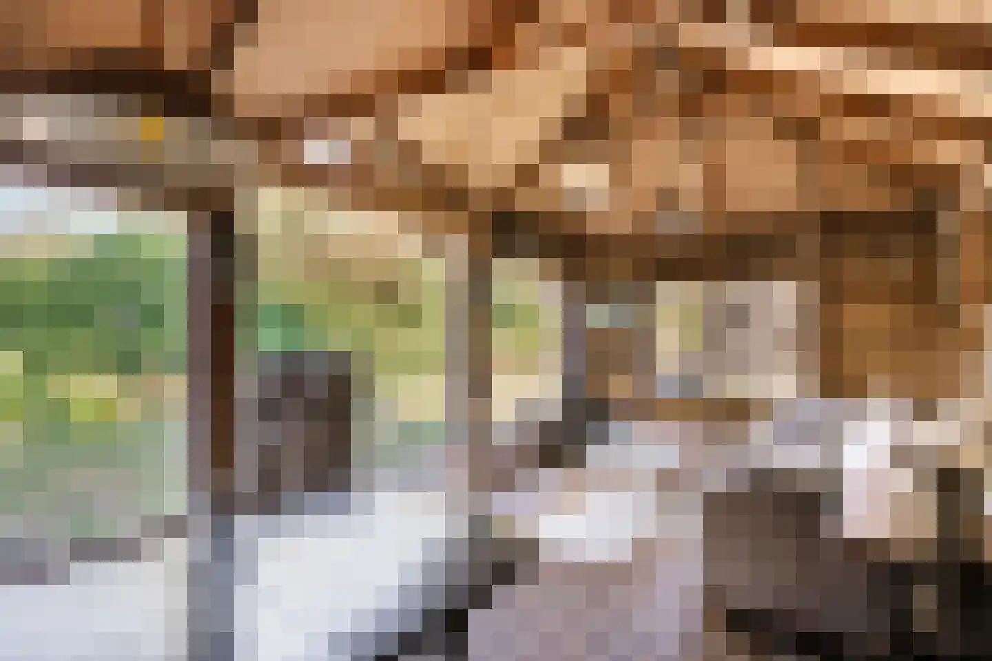 Westerstraat 70 Ruinen thumbnail 55
