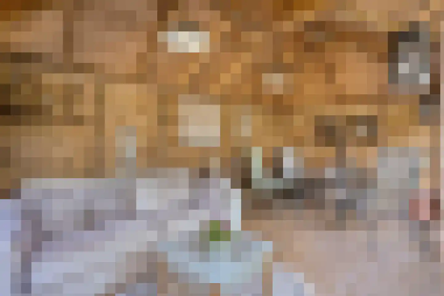 Westerstraat 70 Ruinen thumbnail 56