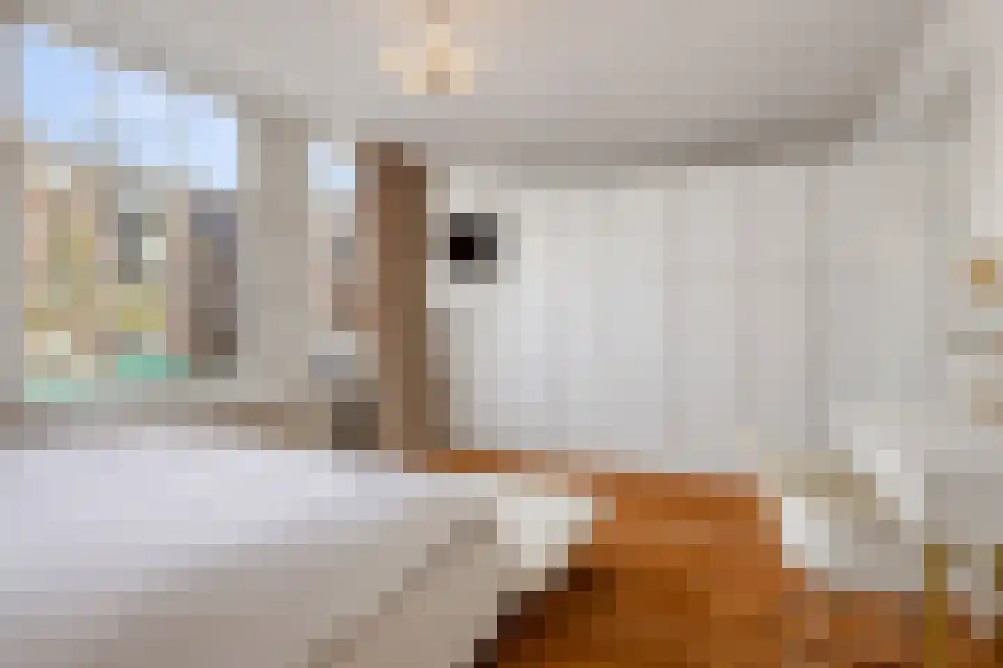 Westerstraat 73 Amsterdam thumbnail 18