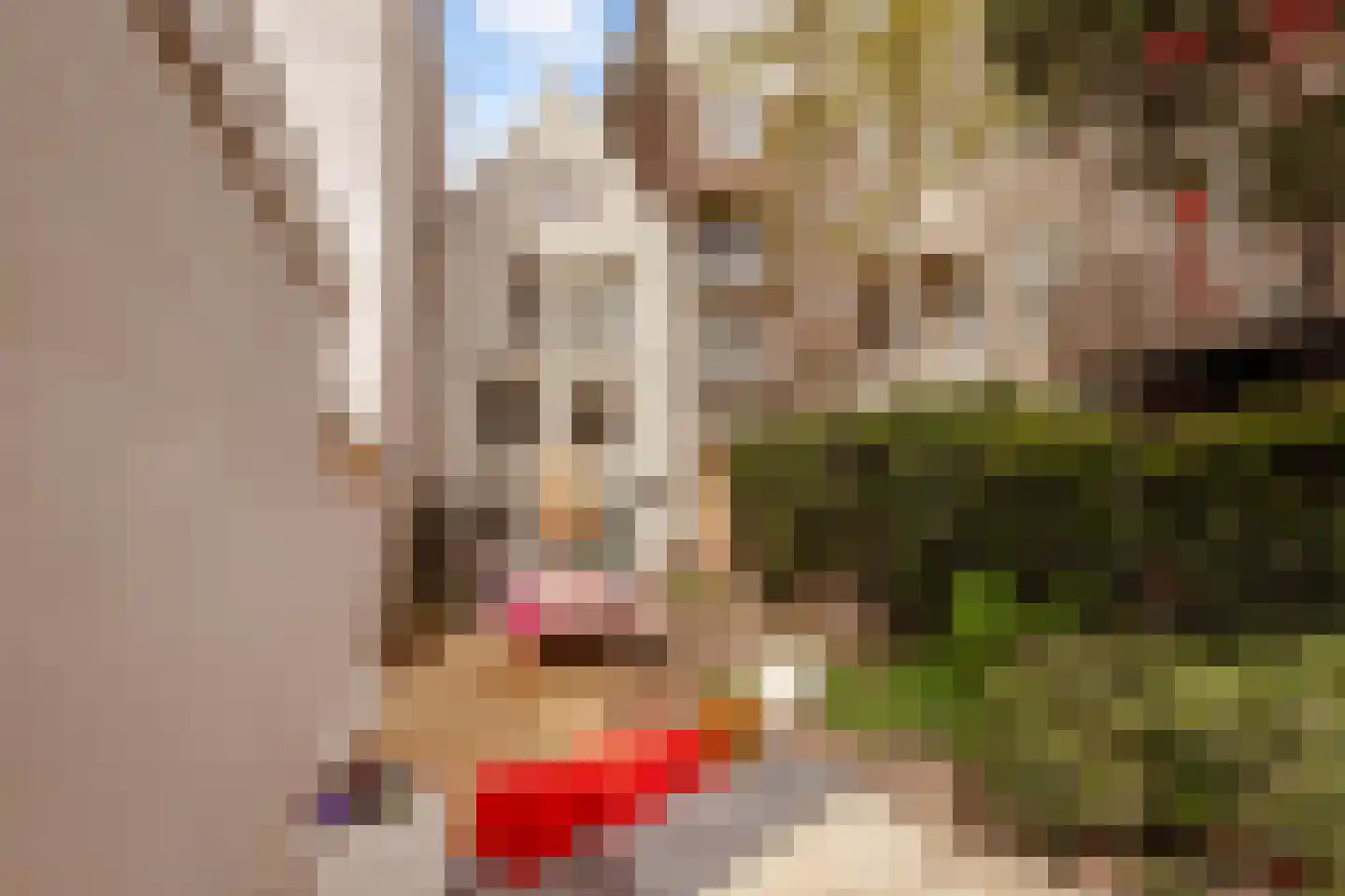 Westerstraat 73 Amsterdam thumbnail 33