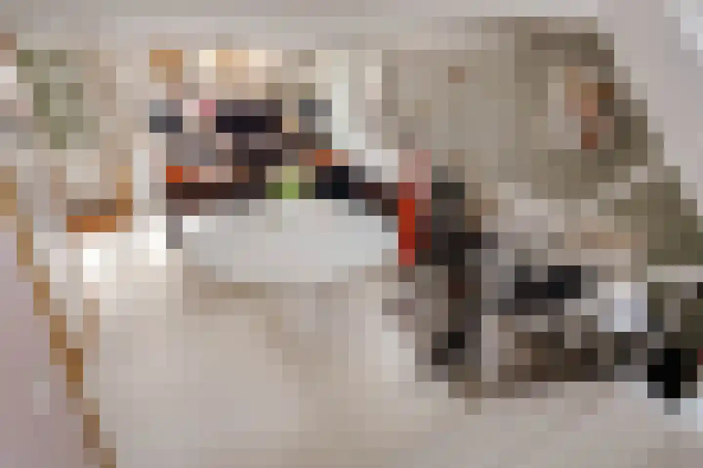 Westerstraat 73 Amsterdam thumbnail 8