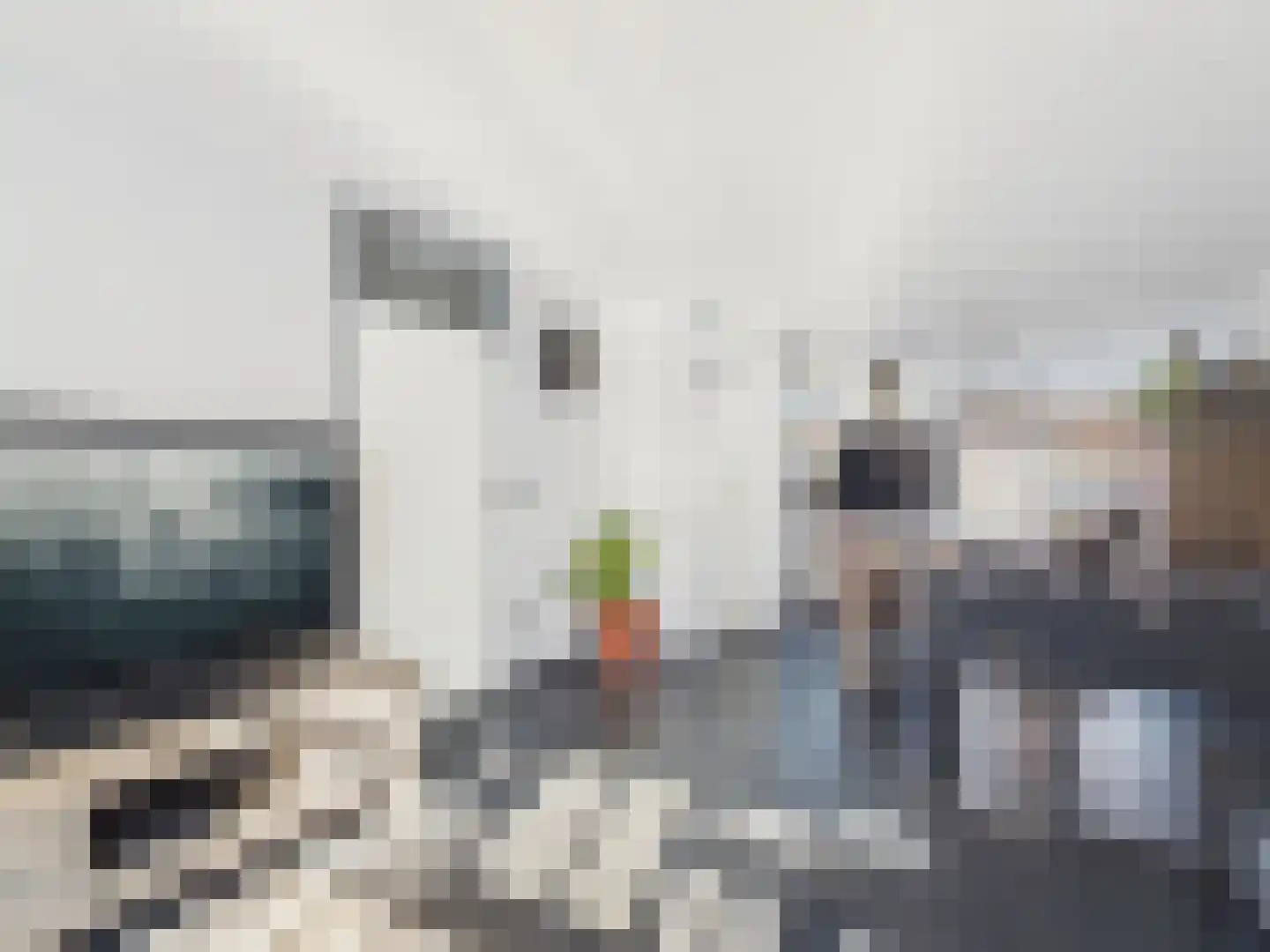 Westerstraat 8 Dinteloord thumbnail 10