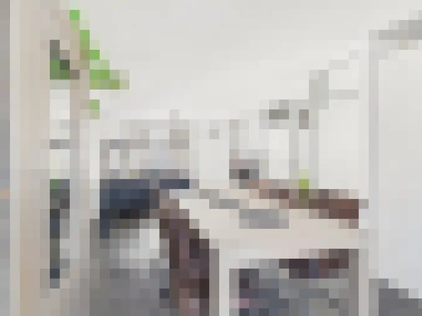 Westerstraat 8 Dinteloord thumbnail 15