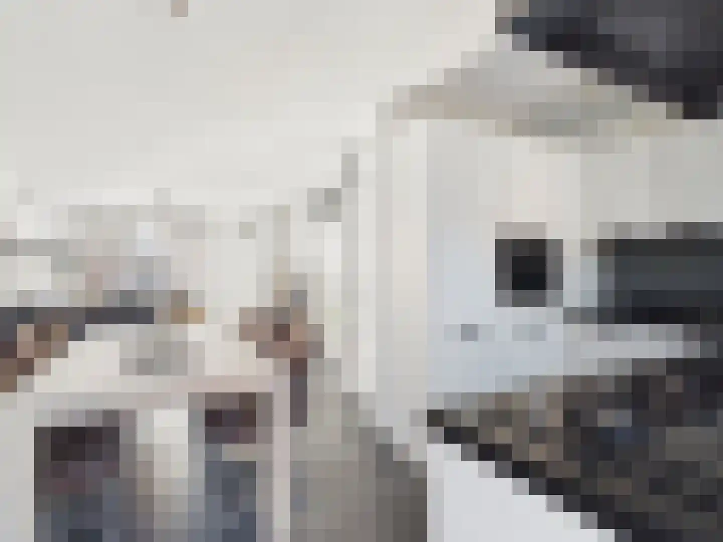 Westerstraat 8 Dinteloord thumbnail 17
