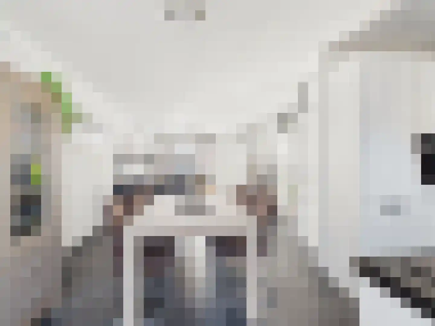 Westerstraat 8 Dinteloord thumbnail 19