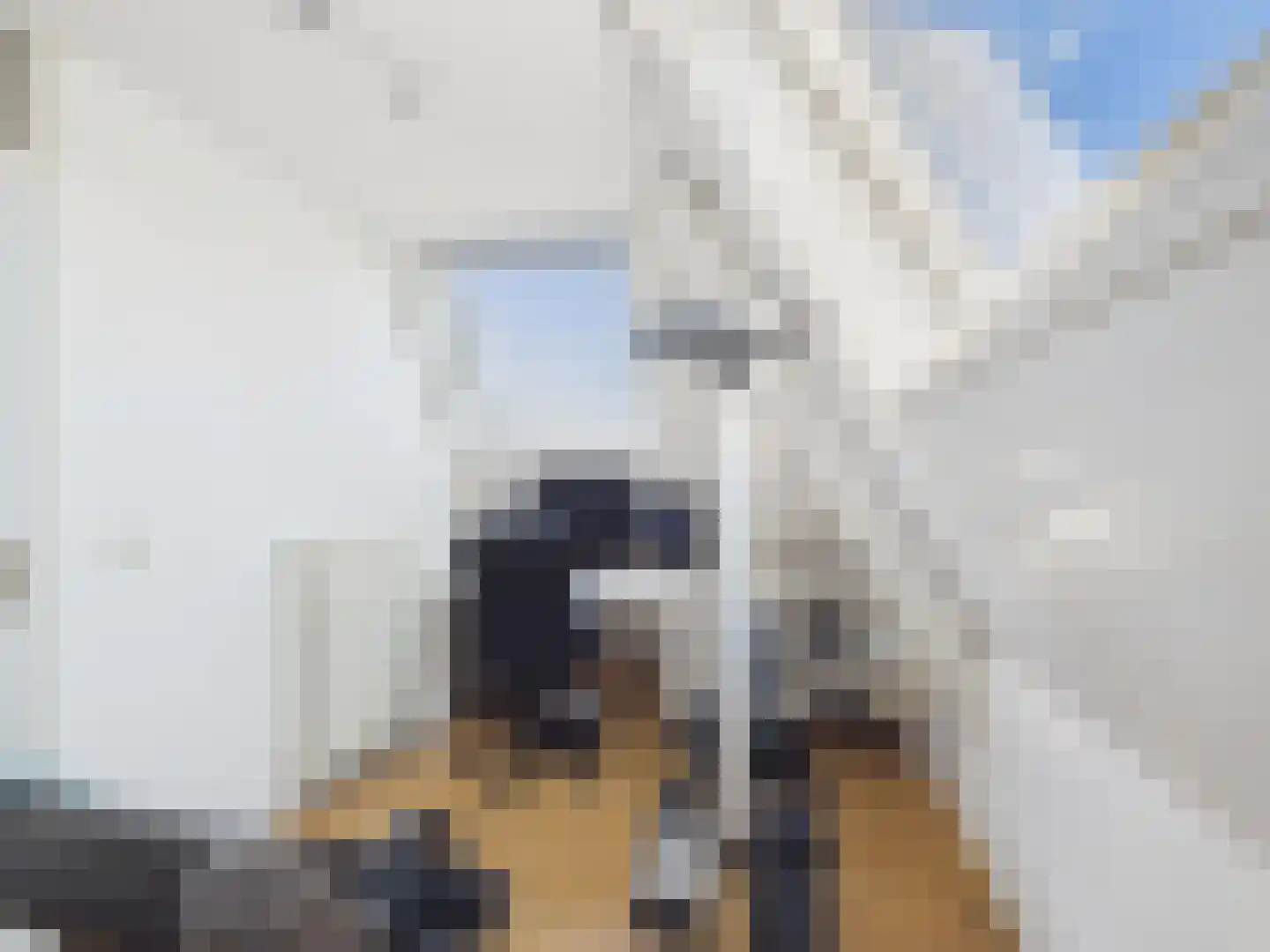 Westerstraat 8 Dinteloord thumbnail 44
