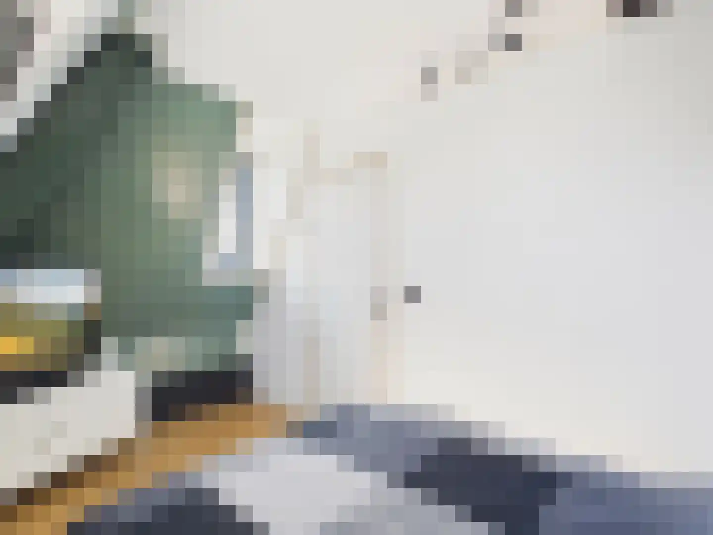 Westerstraat 8 Dinteloord thumbnail 52