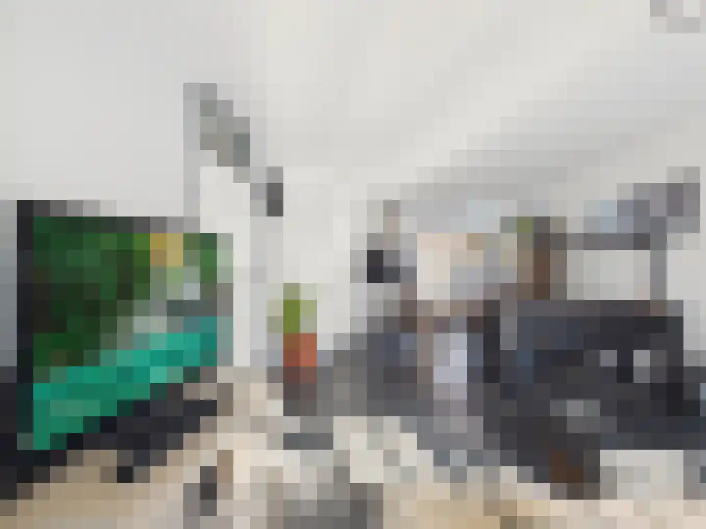 Westerstraat 8 Dinteloord thumbnail 9