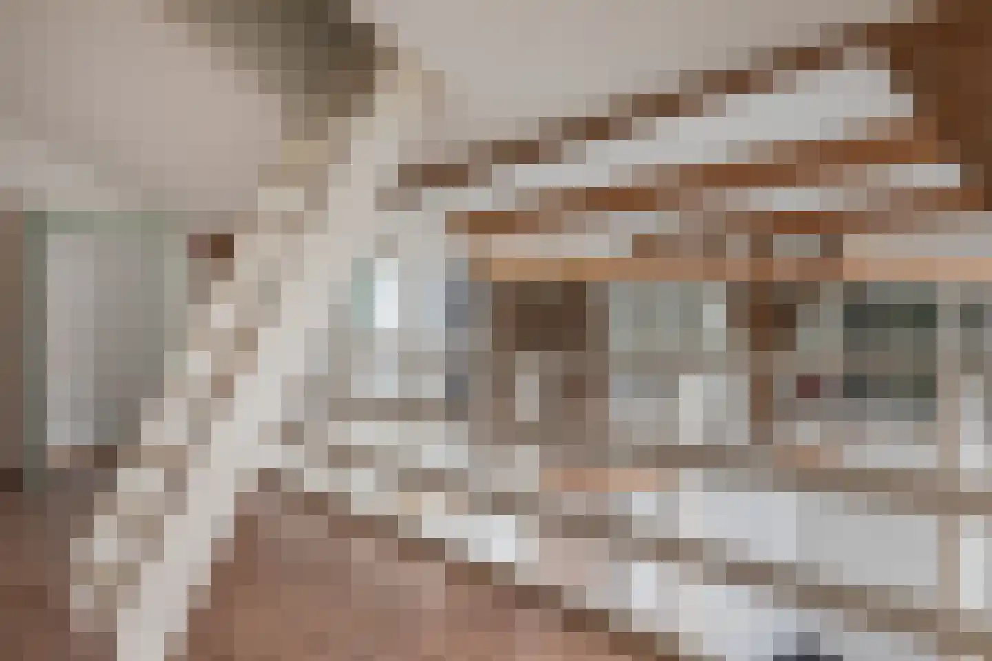 Westerstraat 8 Sijbekarspel thumbnail 10